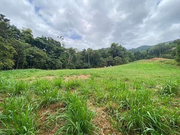 66-68 Cascades Drive, Redlynch - Thumbnail 2