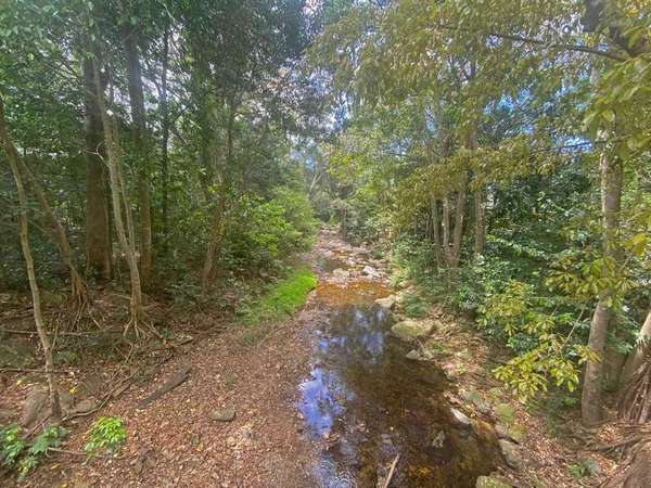 6 Cananga Close, Kamerunga - Thumbnail 6