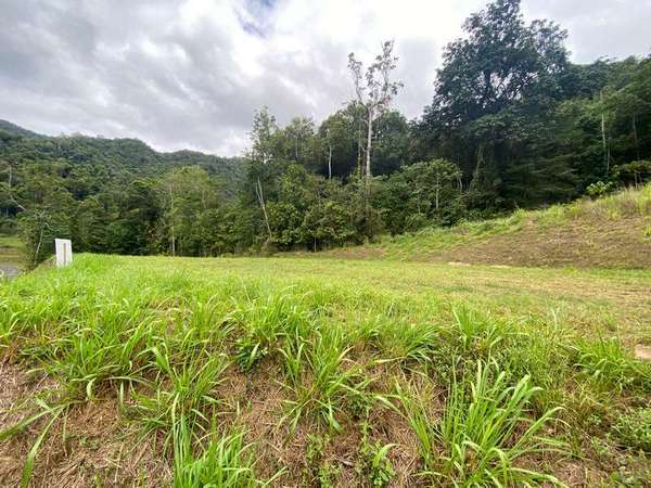 81-83 Cascades Drive, Redlynch - Thumbnail 5
