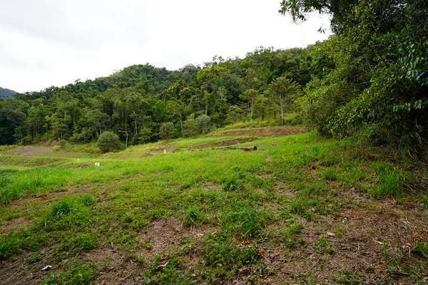106-108 Cascades Drive, Redlynch - Thumbnail 2