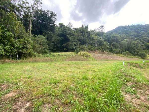 77-79 Cascades Drive, Redlynch - Thumbnail 6