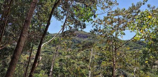 6 Cananga Close, Kamerunga - Thumbnail 8