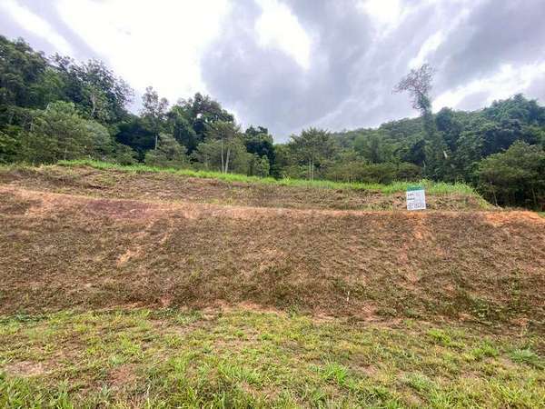 93-95 Cascades Drive, Redlynch - Thumbnail 4