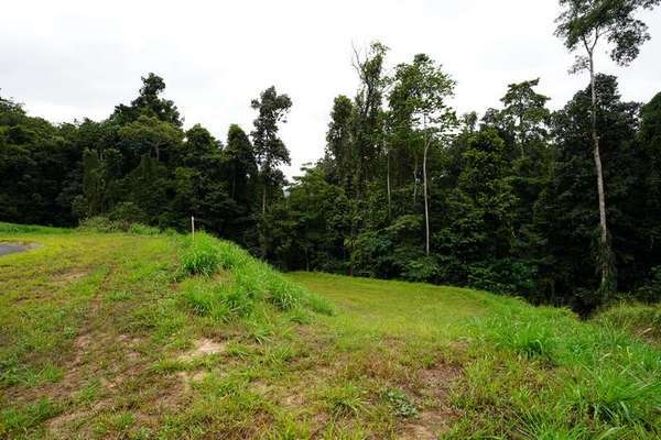 102-104 Cascades Drive, Redlynch - Thumbnail 6