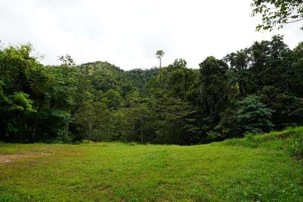 57-59 Cascades Drive, Redlynch - Thumbnail 6