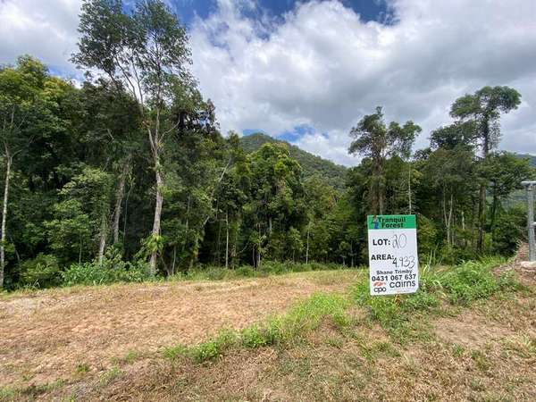 78-80 Cascades Drive, Redlynch - Thumbnail 3