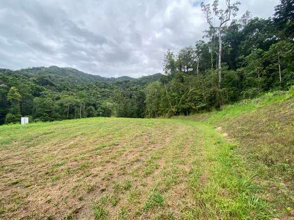 7 Cascades Drive, Redlynch - Thumbnail 3