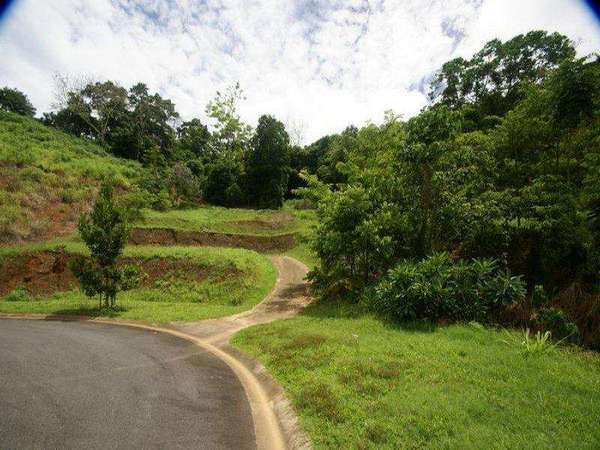 12 Barringtonia Close, Redlynch - Thumbnail 4