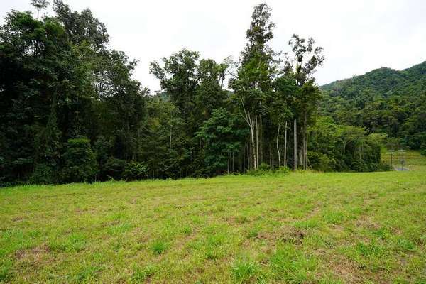 16 Cascades Drive, Redlynch - Thumbnail 3