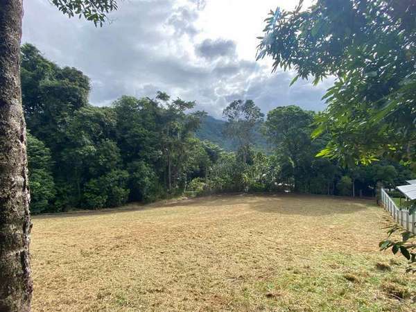 41 Jak Gee St, Redlynch - Thumbnail 7