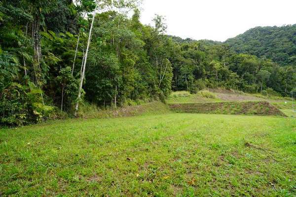 69-71 Cascades Drive, Redlynch - Thumbnail 4