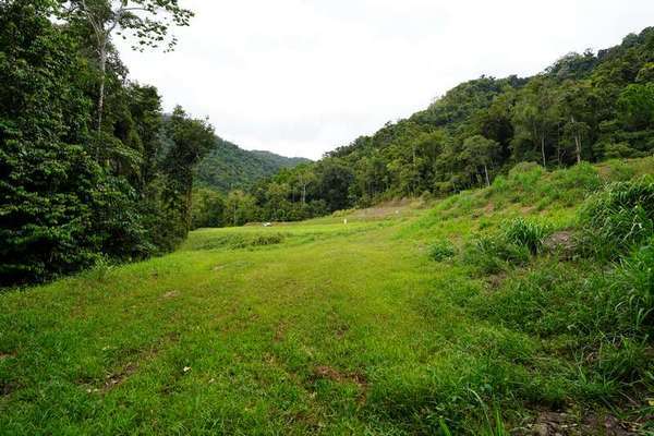 102-104 Cascades Drive, Redlynch - Thumbnail 5
