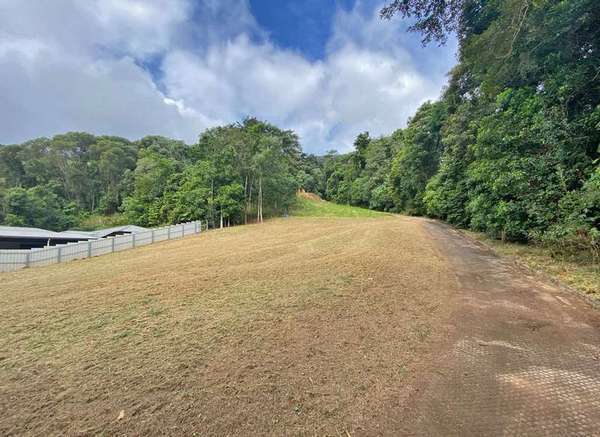 41 Jak Gee St, Redlynch - Thumbnail 5