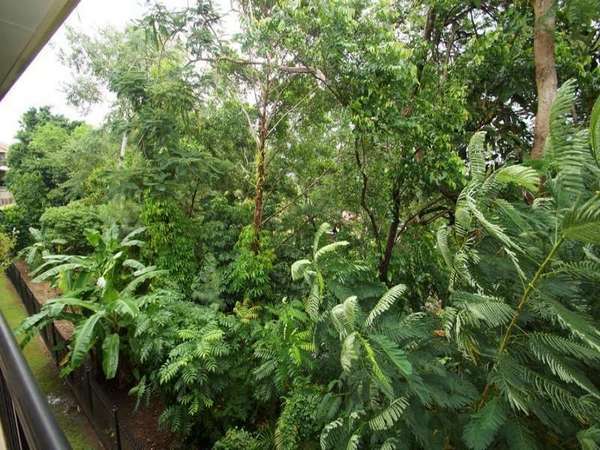 WOREE QLD, 4868, Woree - Thumbnail 6