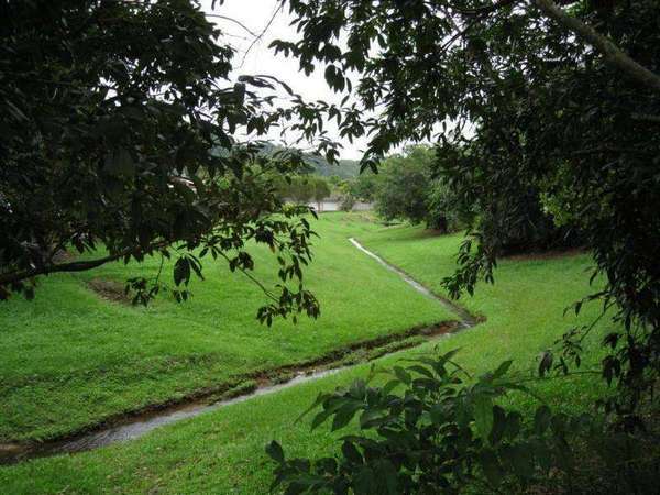 BRINSMEAD QLD, 4870, Brinsmead - Thumbnail 5