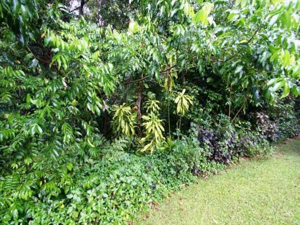 MOOROOBOOL QLD, 4870, Mooroobool - Thumbnail 5