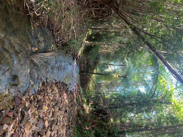 1049 Woopen Creek Rd, Woopen Creek - Thumbnail 5