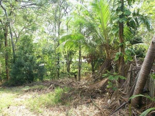 TRINITY BEACH QLD, 4879, Trinity Beach - Thumbnail 2