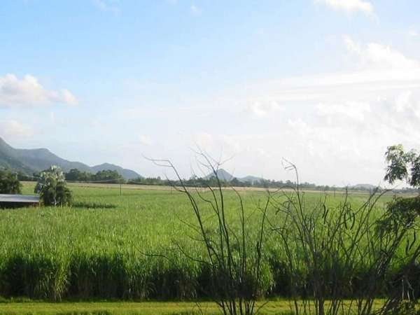 FRESHWATER QLD, 4870, Freshwater - Thumbnail 2