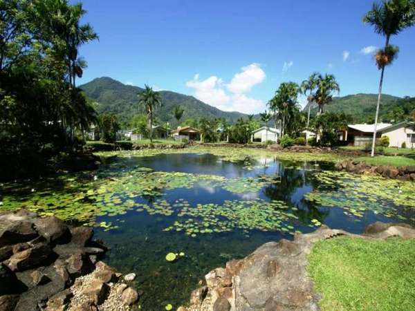 CARAVONICA QLD, 4878, Caravonica - Thumbnail 3