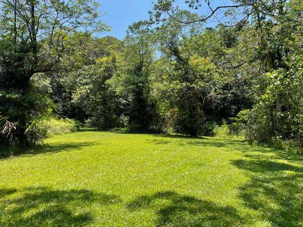 1049 Woopen Creek Rd, Woopen Creek - Thumbnail 3