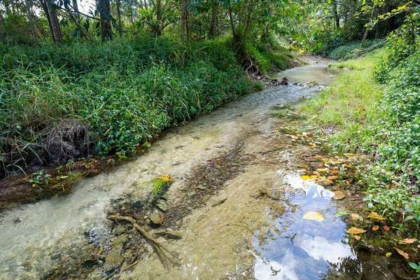 17 Tom Carr Close, Babinda - Thumbnail 4