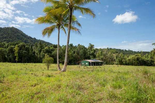 Lot 2 and Lot 3 Buttigieg Access, Babinda - Thumbnail 7