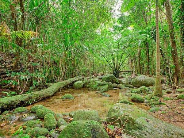 752 The Boulders Road, Babinda - Thumbnail 2