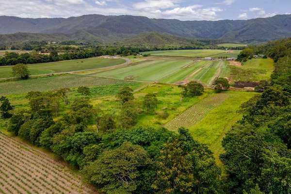 Lot 61 Gillies Range Road, Little Mulgrave - Thumbnail 2