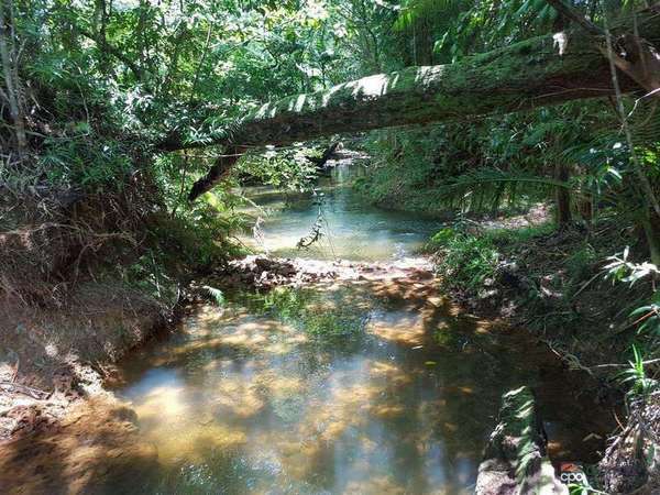 1049 Woopen Creek Road, Mirriwinni - Thumbnail 2