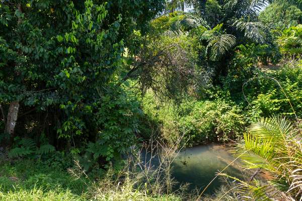 136 Menzies Road, Bartle Frere - Thumbnail 3