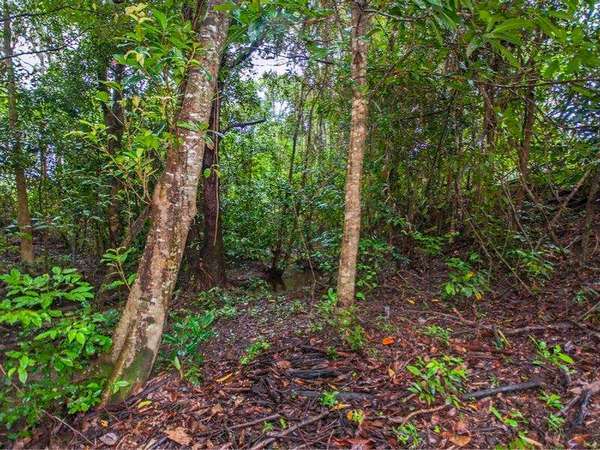 77 Fretwell Road, White Rock - Thumbnail 6