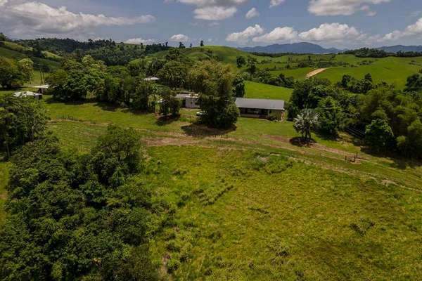 121 Ducrot Road, Upper Daradgee - Thumbnail 6