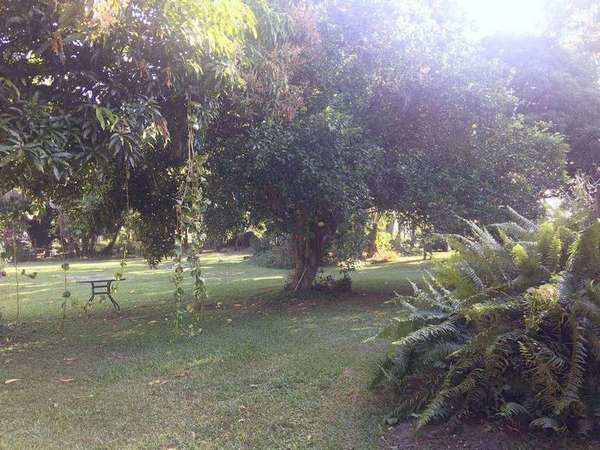 LOT 67 Pine Creek Yarrabah Road, East Trinity - Thumbnail 5