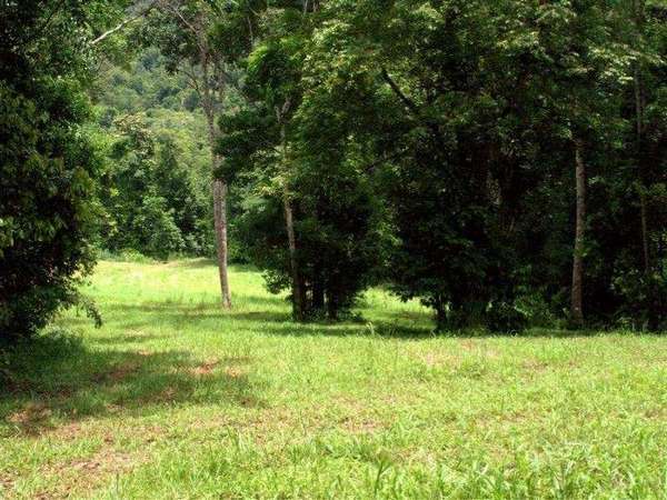 Lot 4 Brays Road, Little Mulgrave - Thumbnail 4