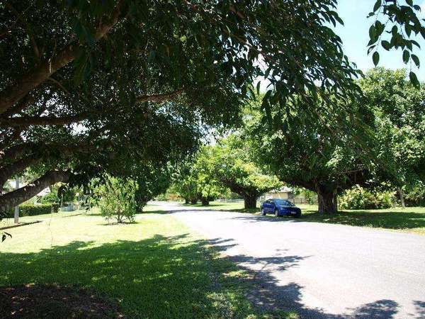 41 Swan Street, Gordonvale - Thumbnail 3
