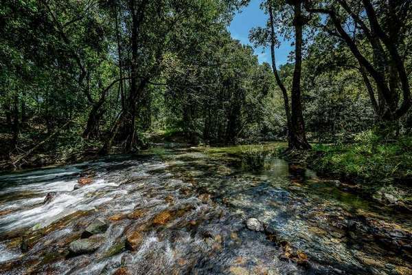 576 Papacek Access, Little Mulgrave - Thumbnail 3