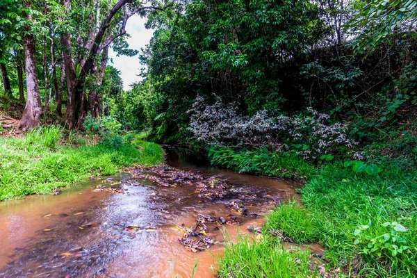 118 Ducrot Road, Upper Daradgee - Thumbnail 4