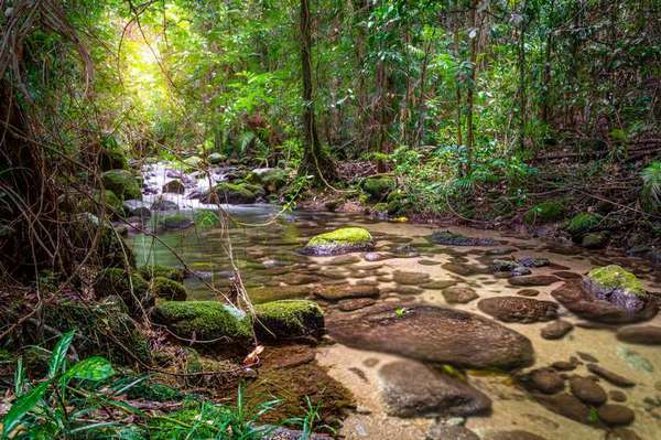 262 Boulders Road, Babinda - Thumbnail 5