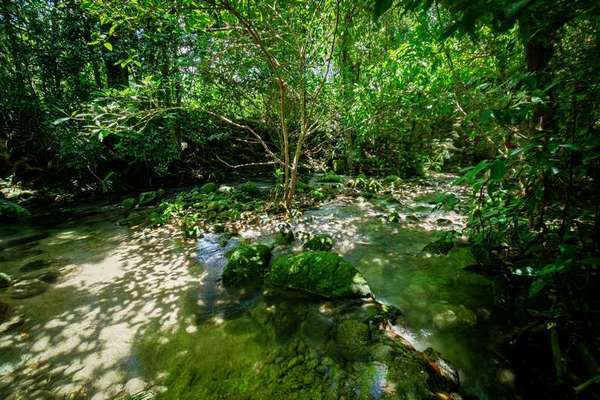16 Moretto Street, Babinda - Thumbnail 3