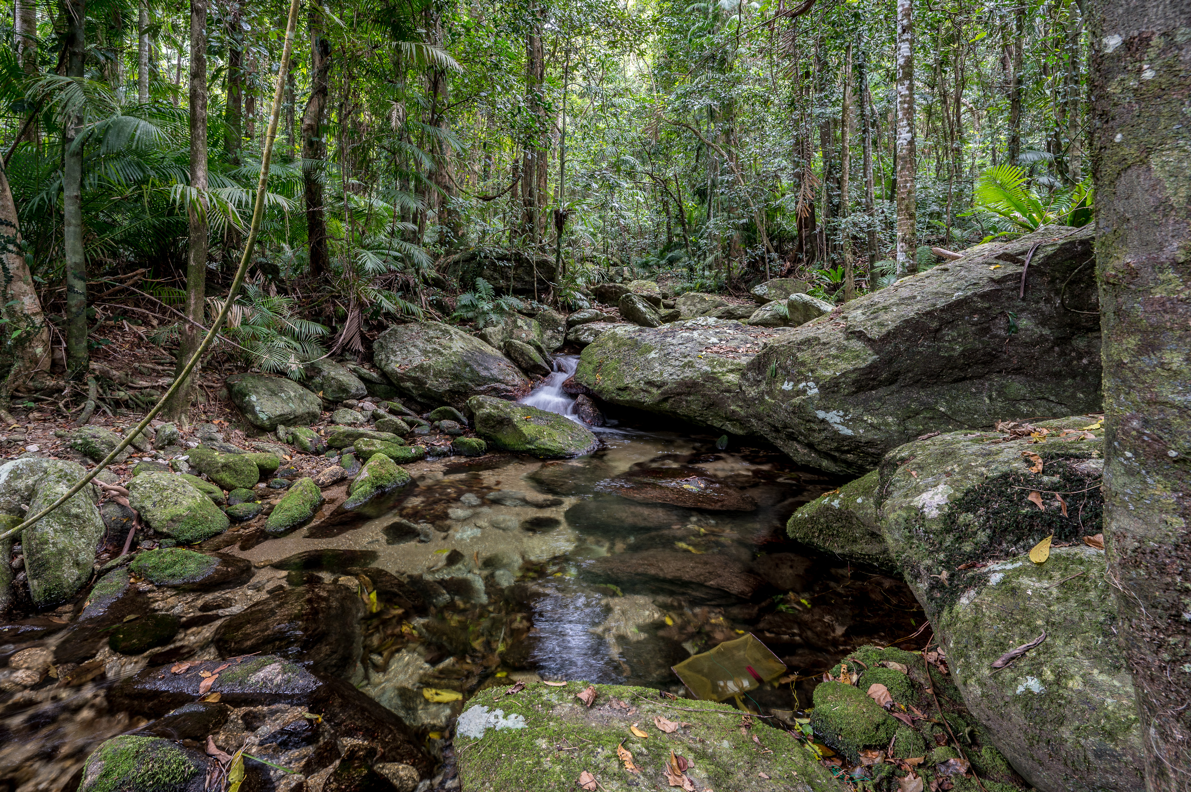 834 Kruckow Road, East Russell - Thumbnail 2