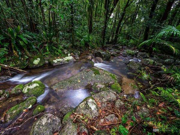Lots 1 & 3/634 Kruckow Road, Babinda - Thumbnail 2