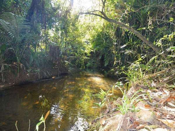 431 Woopen Creek Road, Woopen Creek - Thumbnail 4