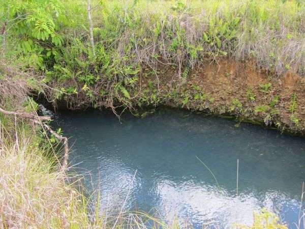 Lot 3 Buttigieg Access, Babinda - Thumbnail 5