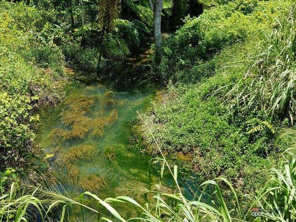 1049 Woopen Creek Road, Mirriwinni - Thumbnail 4