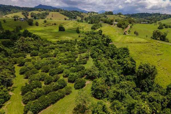 121 Ducrot Road, Upper Daradgee - Thumbnail 8