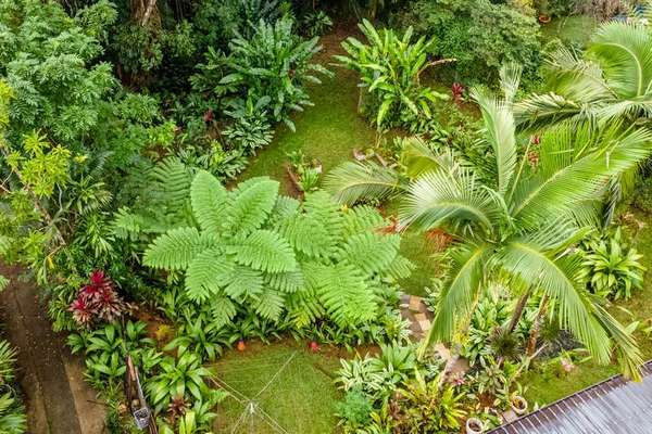 5 Stanwell Street, Babinda - Thumbnail 2