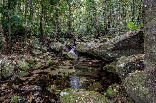 834 Kruckow Road, Babinda - Thumbnail 3