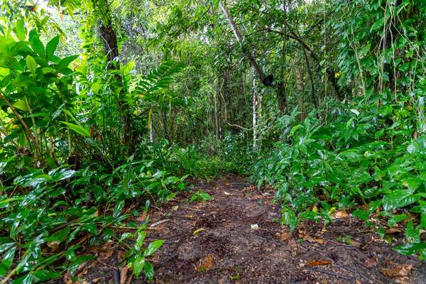 34 Parry Street, Babinda - Thumbnail 4