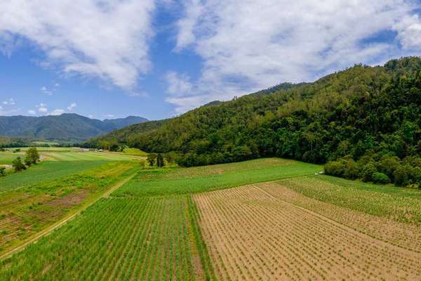 Lot 61 Gillies Range Road, Little Mulgrave - Thumbnail 7